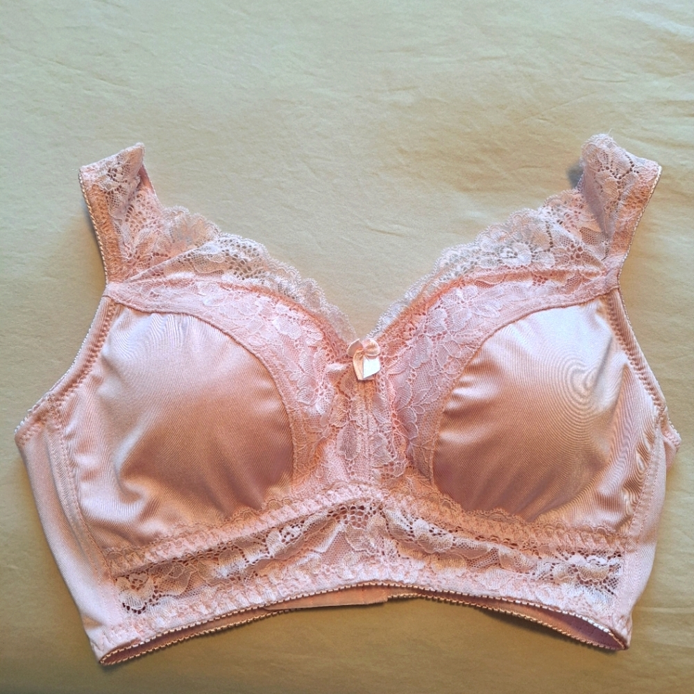 Rhonda Shear Soft Pink Lace Bra NWOT